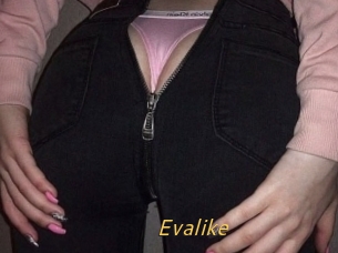 Evalike