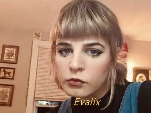 Evalix
