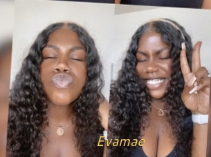 Evamae