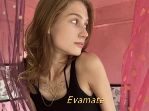 Evamate