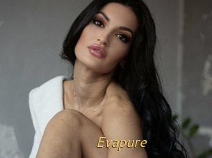 Evapure