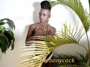Exoticebonycock