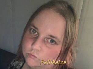 Falbkatze