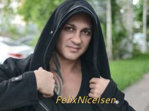 FelixNicelsen
