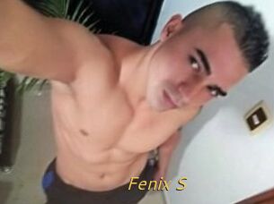 Fenix_S