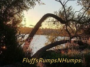 FluffsRumpsNHumps