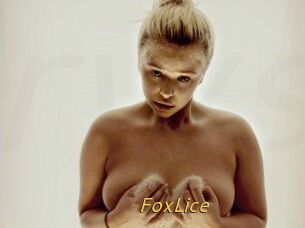 FoxLice