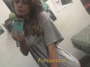 Furiuoscat