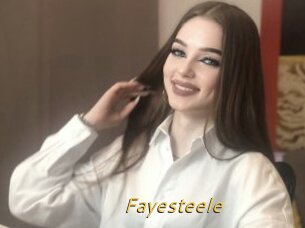 Fayesteele