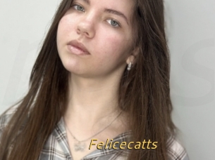 Felicecatts