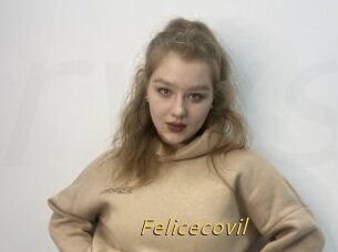 Felicecovil