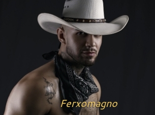Ferxomagno