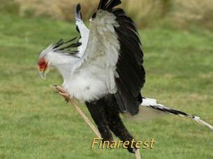 Finaretest