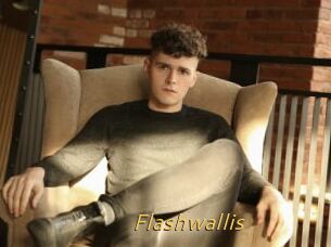 Flashwallis