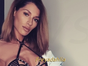 Freyadahlia
