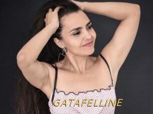 GATAFELLINE