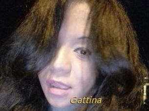 Gattina