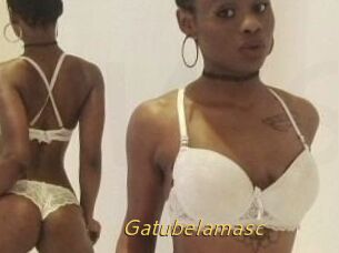 Gatubela_masc