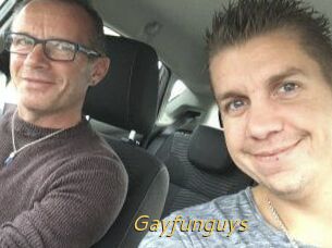 Gayfunguys