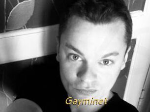 Gayminet