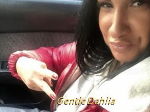 GentleDahlia