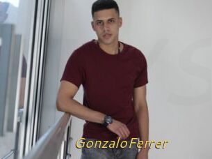GonzaloFerrer