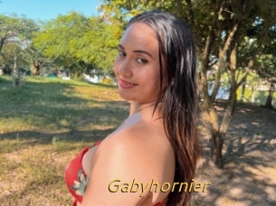 Gabyhornier