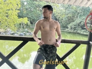 Gaelstuart