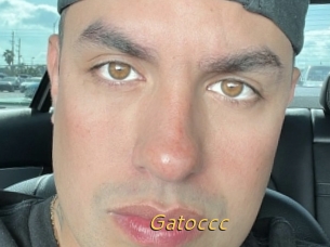 Gatoccc