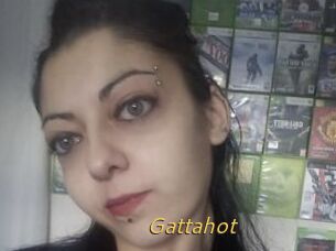 Gattahot