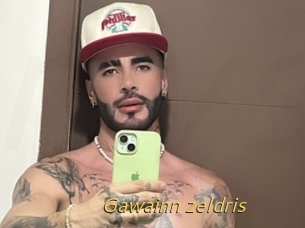 Gawainn_zeldris