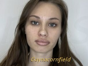 Gaynacornfield