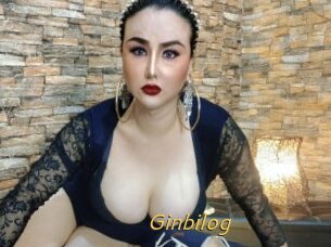 Ginbilog