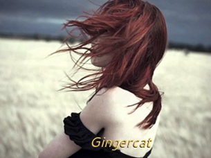 Gingercat