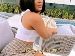 Gingerspice202