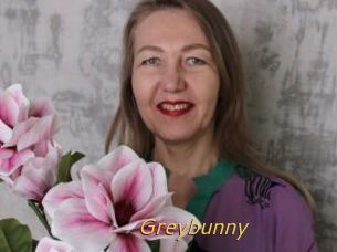 Greybunny