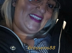 Grosseins88