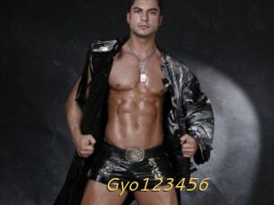 Gyo123456