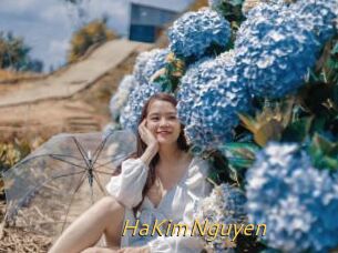 HaKimNguyen