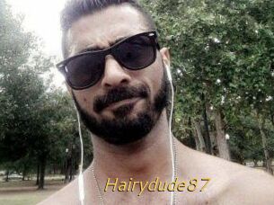Hairydude87