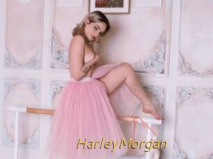 HarleyMorgan