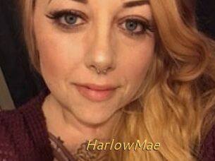HarlowMae