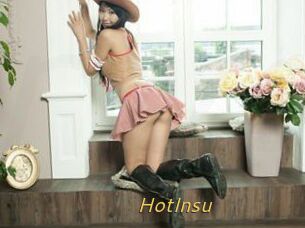 HotInsu