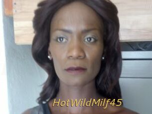 HotWildMilf45