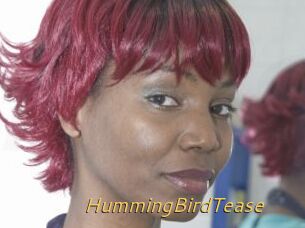 HummingBirdTease