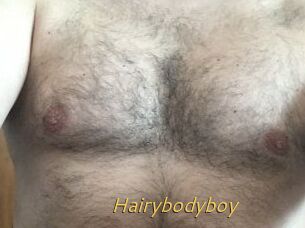 Hairybodyboy