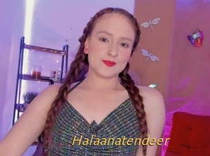 Halaanatendeer