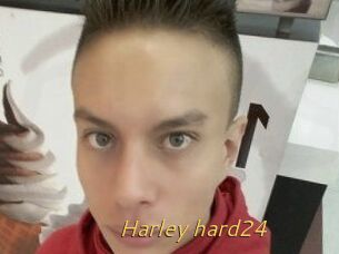 Harley_hard24