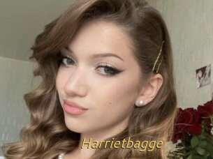 Harrietbagge