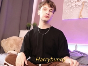 Harrybunny